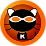 KK錄像機VIP破解版 v2.6.1.7綠色版