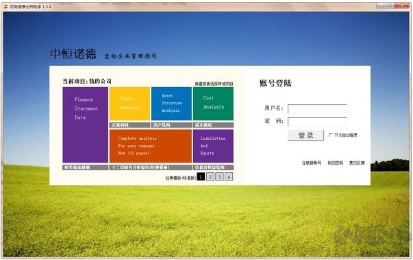 財(cái)務(wù)報(bào)表分析助手