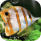 夢(mèng)幻水族館屏保 v1.234中文破解版