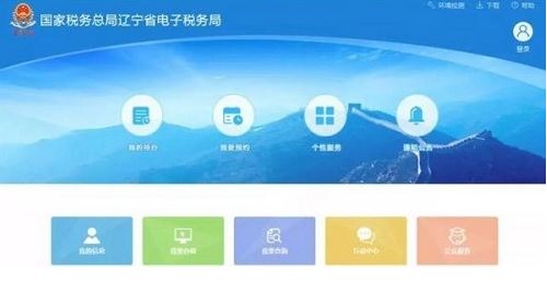遼寧省電子稅務(wù)局客戶端