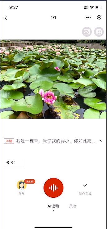 最強文字轉(zhuǎn)語音軟件[微軟聽聽文檔]使用教程
