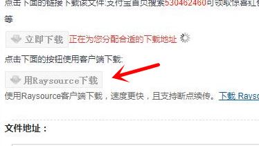 RaySource飛速網(wǎng)網(wǎng)盤