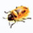 Firebug(火狐瀏覽器網(wǎng)頁調(diào)試工具) v3.3.0 中文版