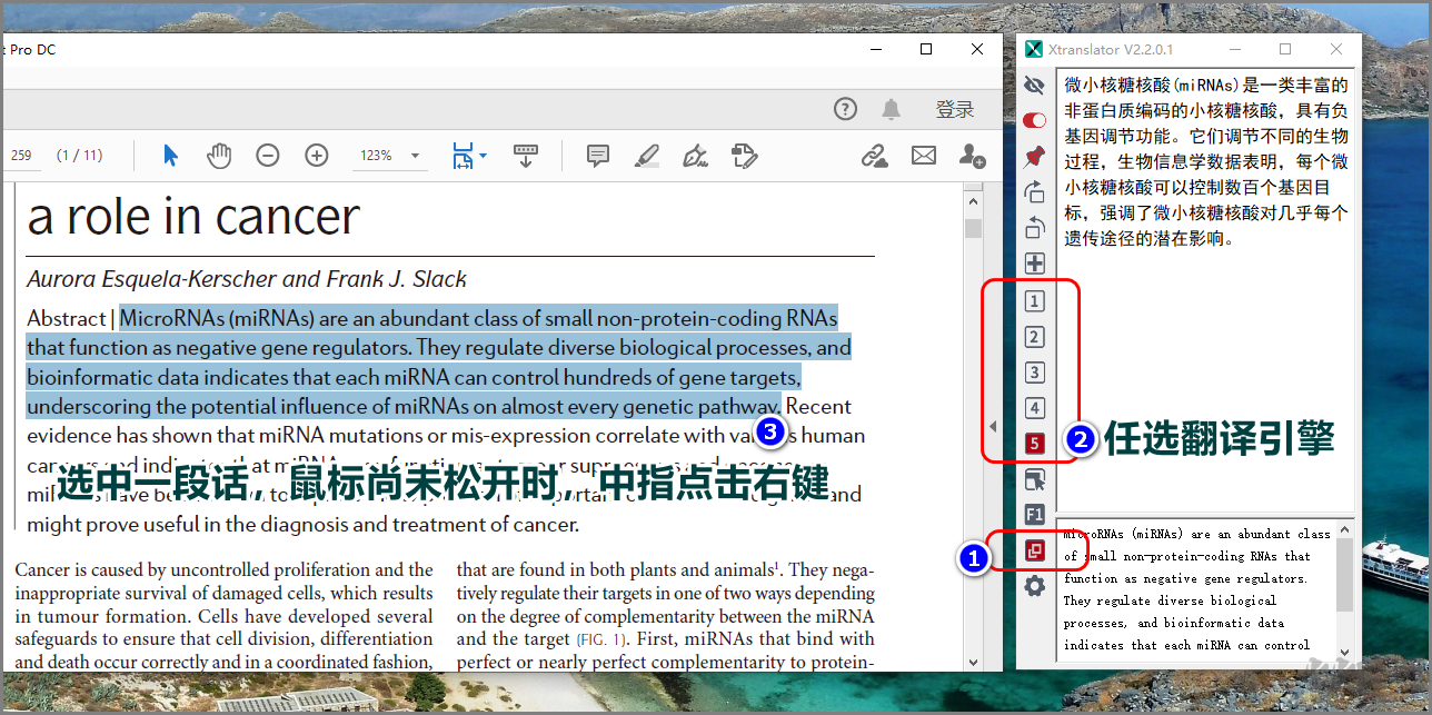 Xtranslator(文獻(xiàn)翻譯軟件)