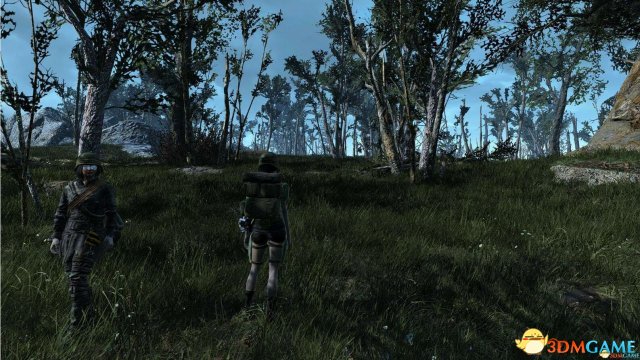 輻射4超級負重聯(lián)邦背包MOD