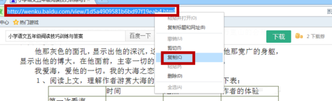 冰點(diǎn)下載器2023最新可用版下載