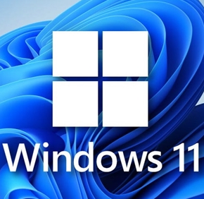 Windows11精簡(jiǎn)版優(yōu)化版 (22000.348)