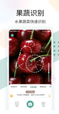 識花君(拍照識別)