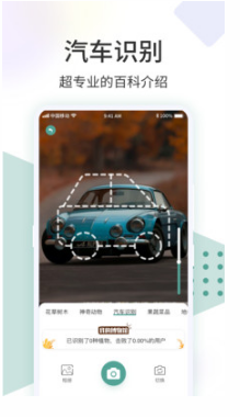 識花君(拍照識別)