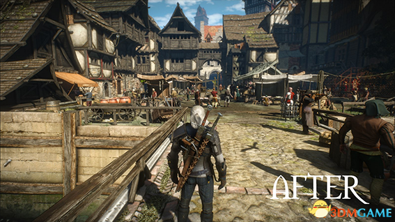 巫師3：狂獵 v1.31真實(shí)老舊木頭貼圖紋理MOD