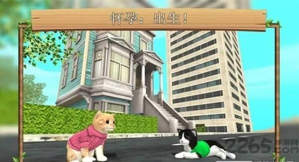 貓咪生存模擬器[無(wú)限金幣]