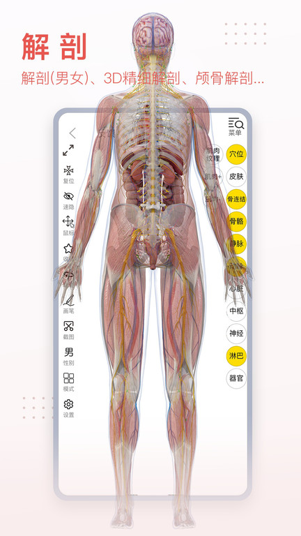 3dbody解剖圖手機(jī)版下載