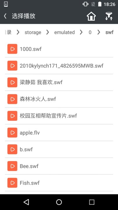 網(wǎng)極SWF播放器