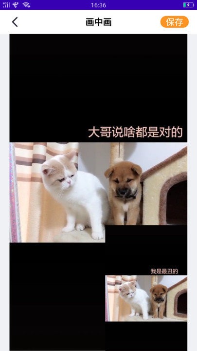 白兔視頻