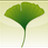 Ginkgo CADx Pro v3.7.3 中文免費(fèi)版