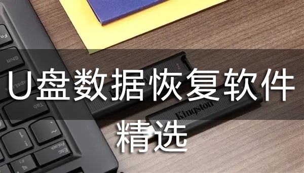如何恢復(fù)U盤數(shù)據(jù)？U盤數(shù)據(jù)恢復(fù)軟件免費(fèi)版下載【精選】