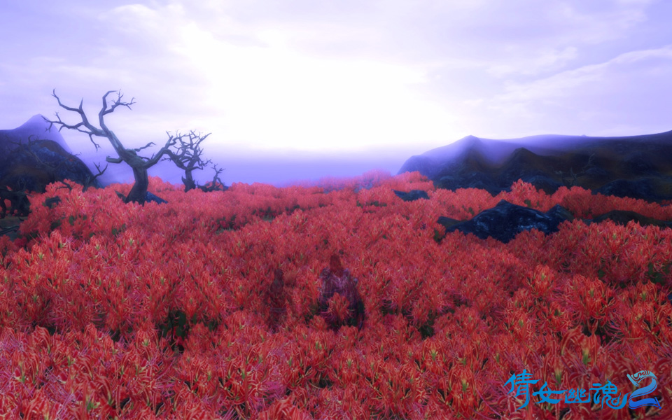 新倩女幽魂電腦版客戶端