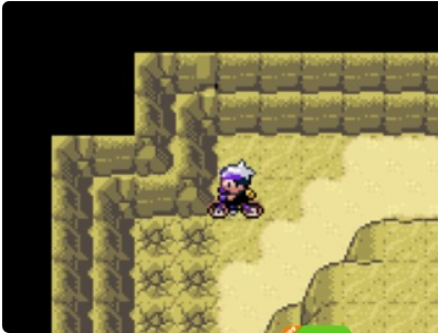 口袋妖怪XY截圖