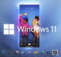 win11安卓子系統(tǒng)(Android 12.1) 最新獨(dú)立安裝包