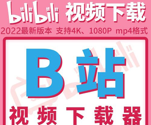 嗶哩嗶哩視頻解析下載工具_(dá)嗶哩嗶哩視頻下載器大全