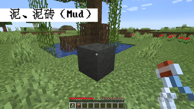 我的世界國(guó)際版1.19版本