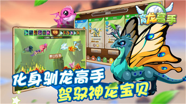 育龍高手內購破解版