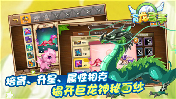 育龍高手內購破解版