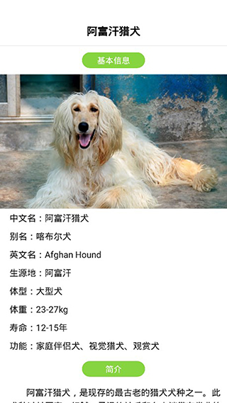 狗語(yǔ)翻譯器APP