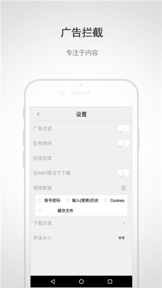 閃電瀏覽器APP