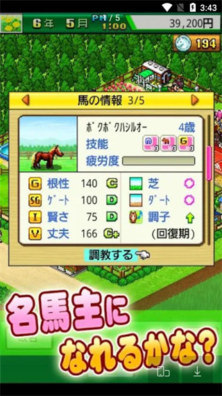 頂級(jí)跑馬牧場(chǎng)中文版