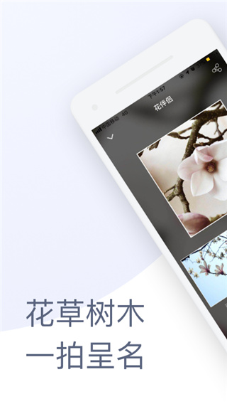 花伴侶(拍照識(shí)花)