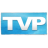 TVPaint Animation Pro 10百度云(附補(bǔ)丁及使用教程) V10.0.16漢化破解版