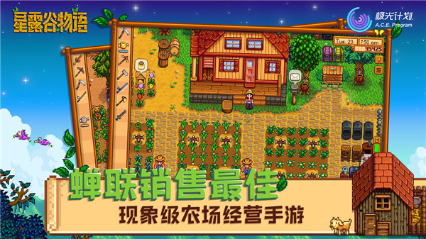 星露谷物語(yǔ)人物美化