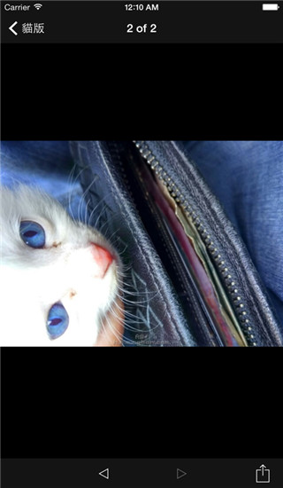 A島匿名版(AcFun論壇)