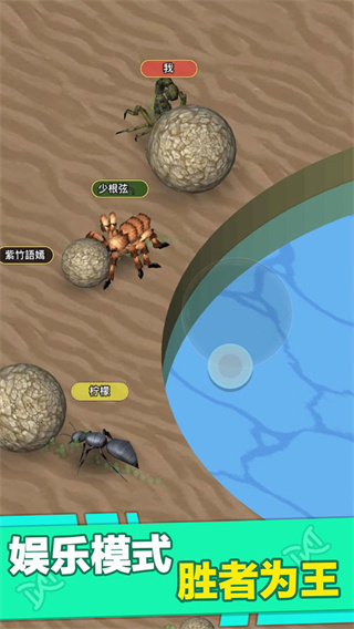 昆蟲進化大亂斗破解版