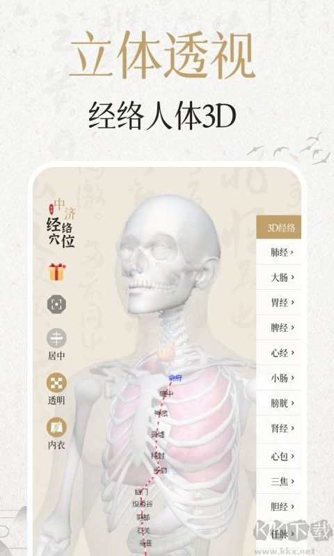 中濟(jì)經(jīng)絡(luò)穴位App手機(jī)版