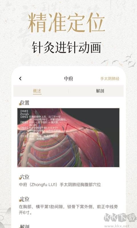 中濟(jì)經(jīng)絡(luò)穴位App手機(jī)版