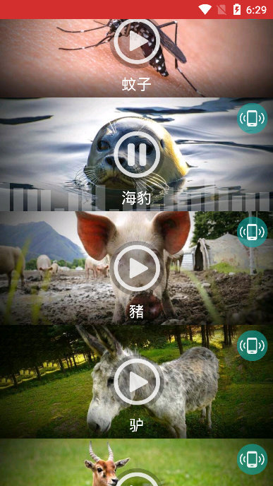 動物手機(jī)鈴聲純凈版