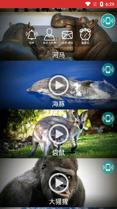 動物手機(jī)鈴聲純凈版