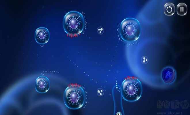 細(xì)胞冒險(xiǎn)Cyto