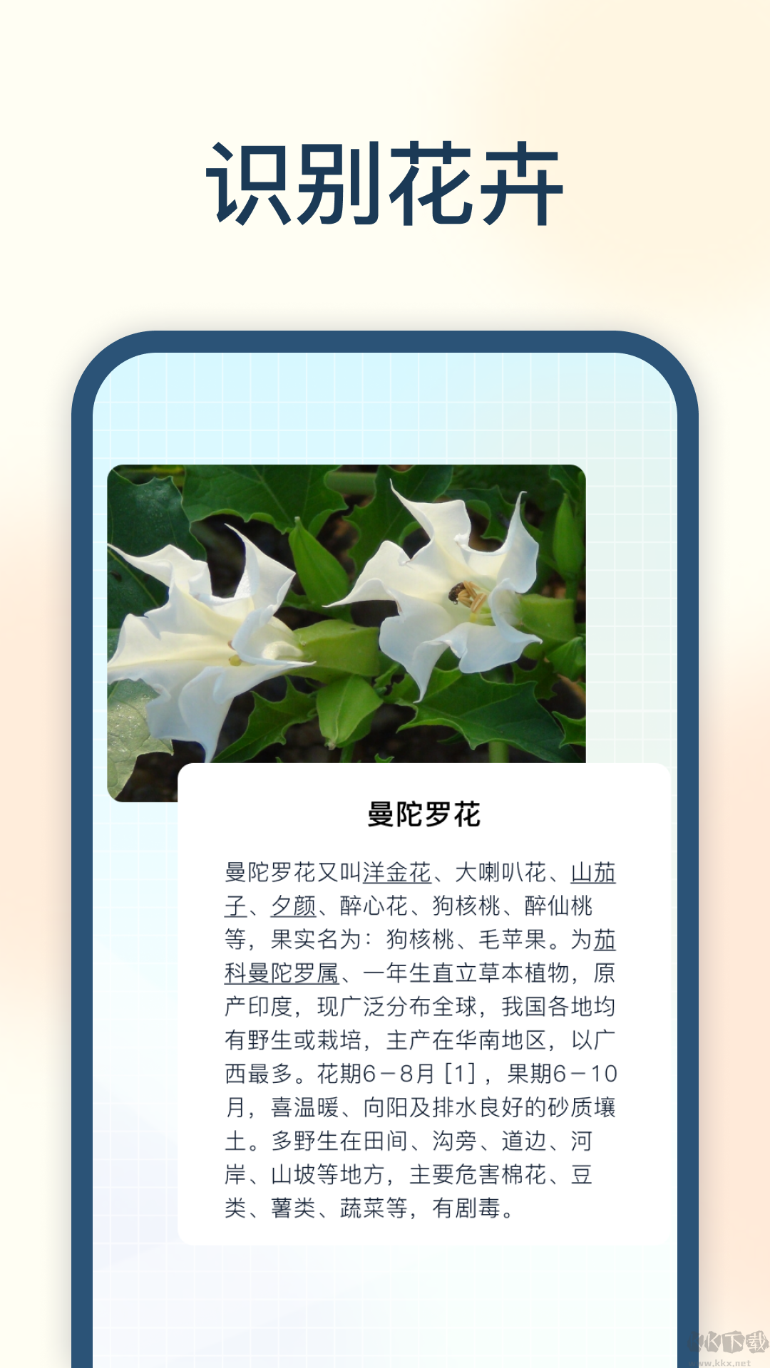 試卷星app最新版