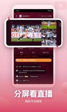 央視頻app安卓版