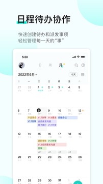 飛項(xiàng)