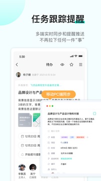 飛項(xiàng)