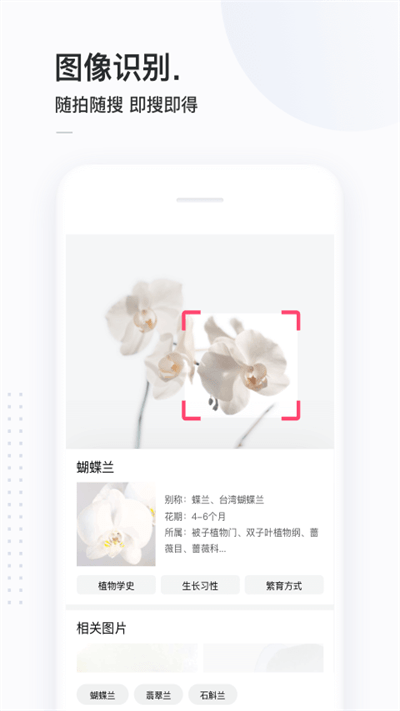 簡單搜索安卓最新版