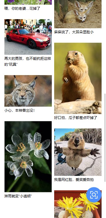 百度識(shí)圖app安卓版