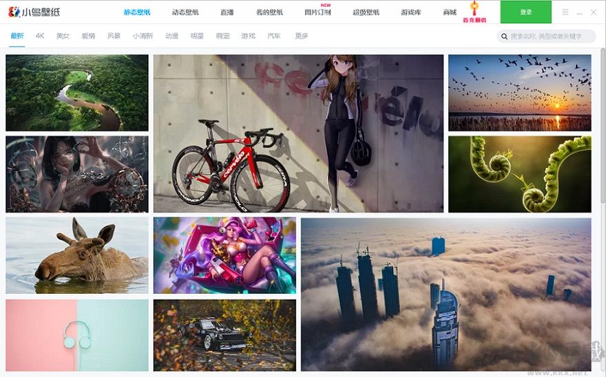小鳥壁紙動(dòng)態(tài)壁紙官方版