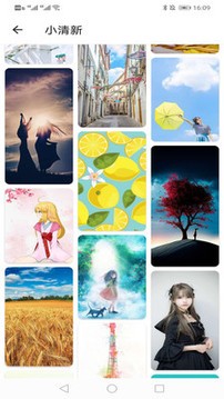 花樣壁紙app安卓2023新版本