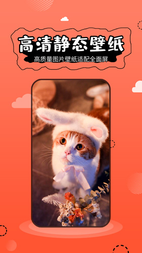 壁紙精靈app2023安卓最新版