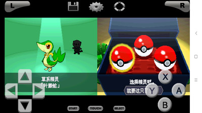 口袋妖怪黑白2內(nèi)置金手指版